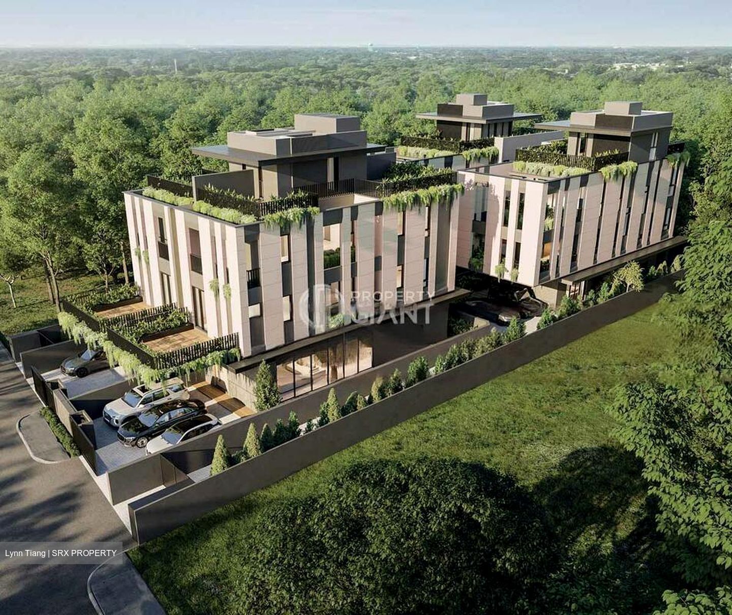 Palm Road (D15), Detached #466360761